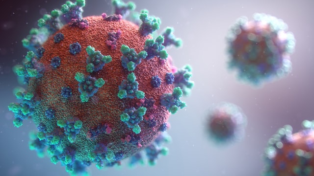 Corona-Virus - Photo by Fusion Medical Animation on Unsplash